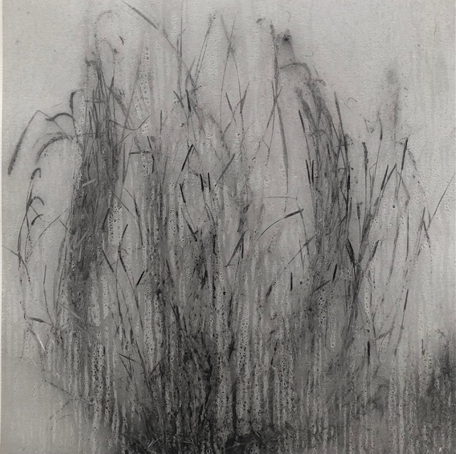 Untitled, Weed series (3)